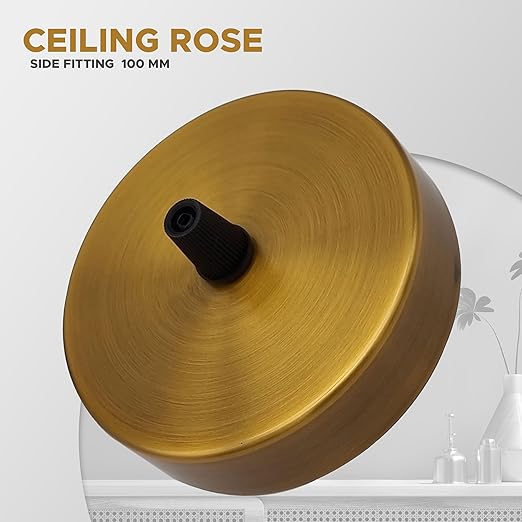 100mm Yellow Brass Metal Round Single Outlet Ceiling Rose ~3094