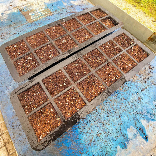 12 Cell Seed Starting Trays