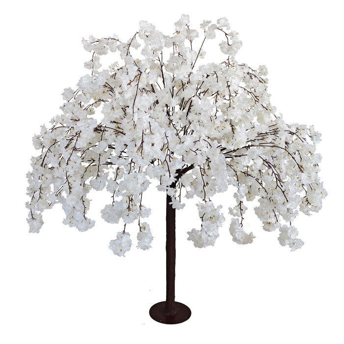 5ft White Weeping Cherry Blossom Tree