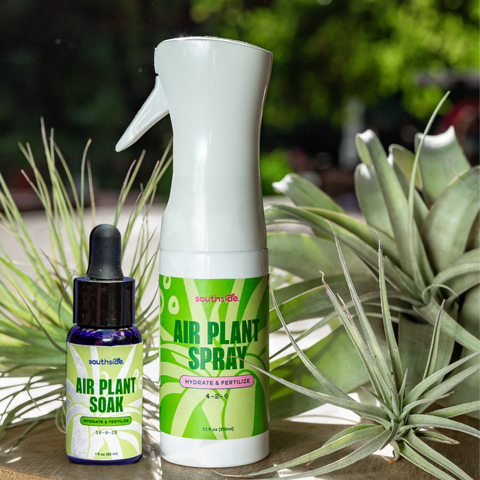 Air Plant Fertilizer | Southside.