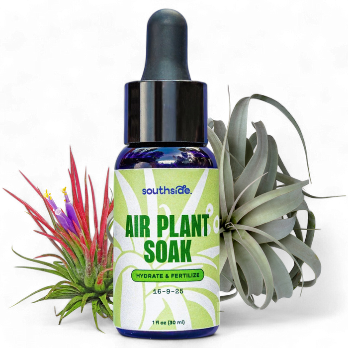 Air Plant Fertilizer | Southside.