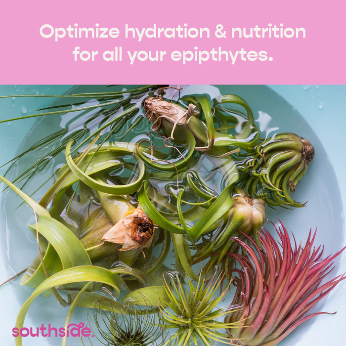 Air Plant Fertilizer | Southside.