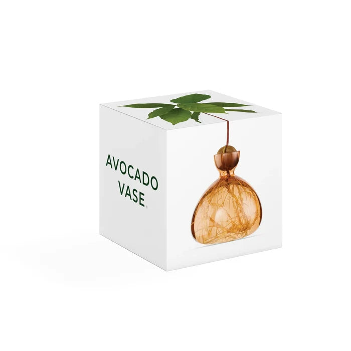 Apricot Avocado Vase | Ilex Studios
