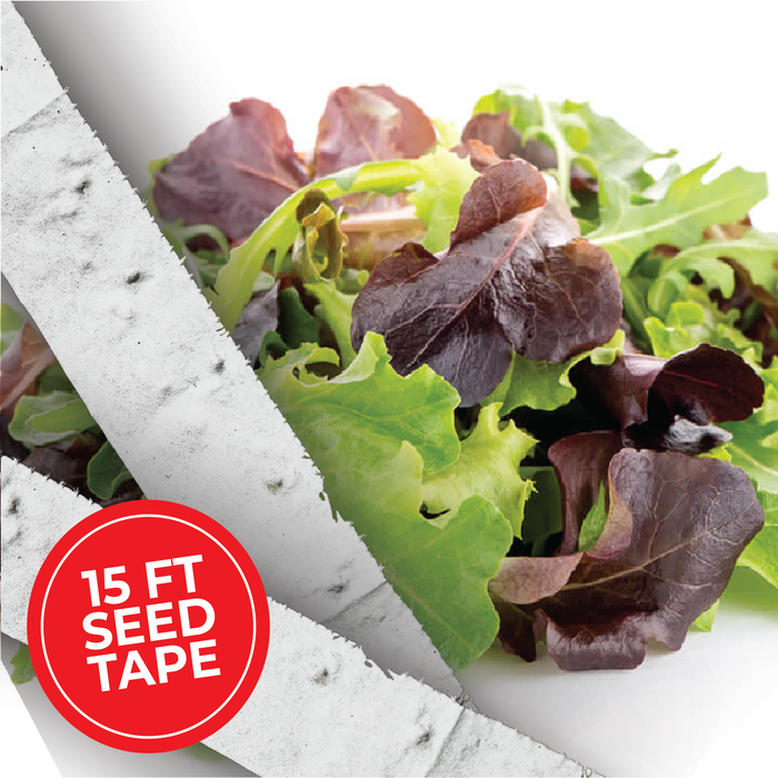Baby Leaf Greens Mix Seed Tape - HOSS