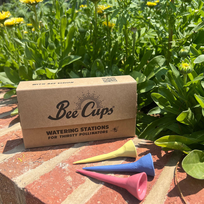 A cardboard box labeled Bee Cups Watering Stations sits on a brick ledge outdoors, with three small colored cups placed in front and green plants with yellow flowers behind it.