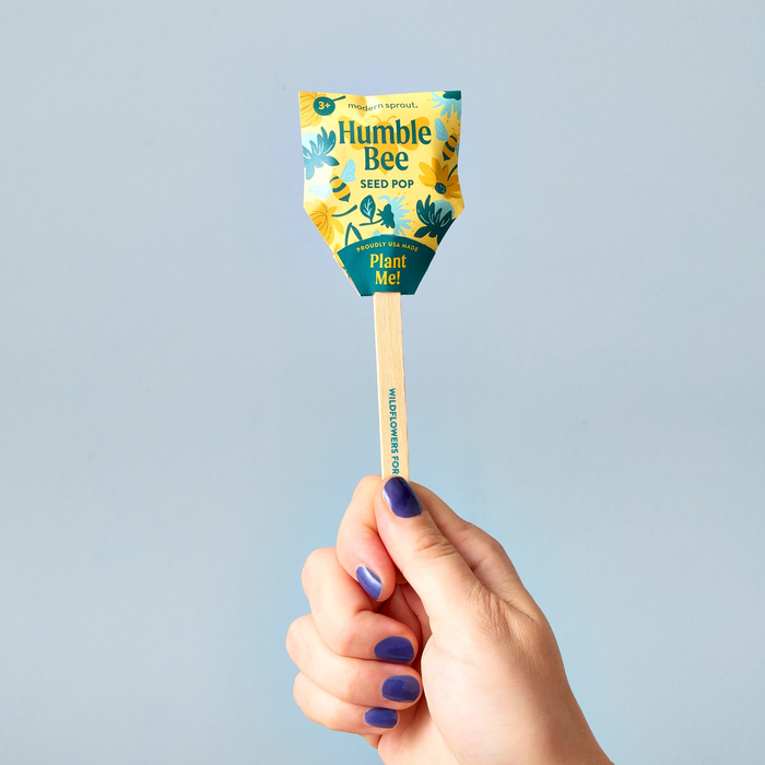 Bee Seed Pop | Modern Sprout