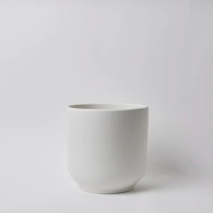 White / 10 Inch