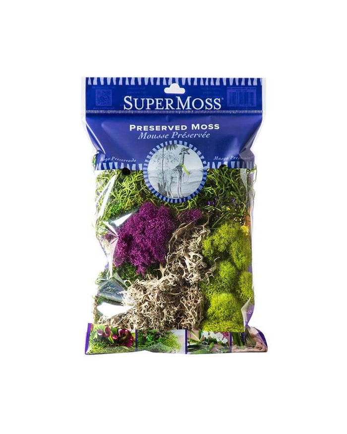 Best Sellers Moss Mix|SuperMoss