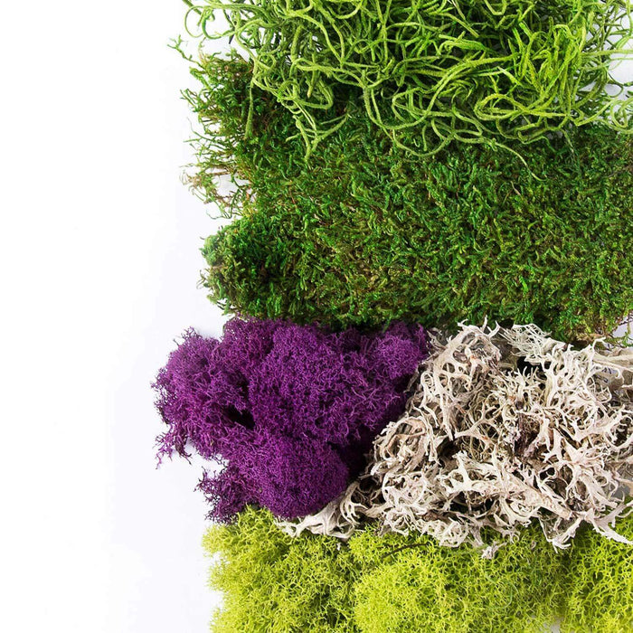 Best Sellers Moss Mix|SuperMoss