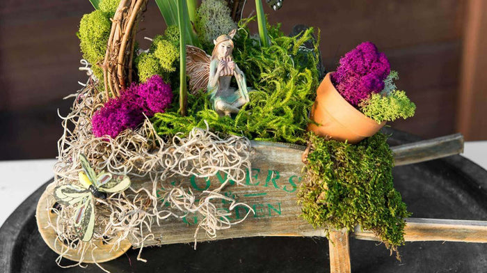 Best Sellers Moss Mix|SuperMoss