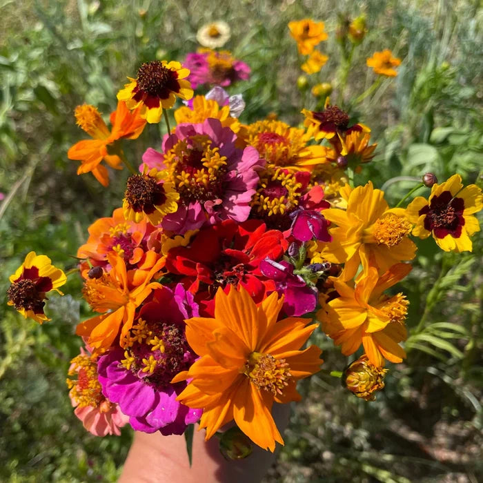 Bird Lover's Meadow Mix Seed Shaker | Hudson Valley Seed Co