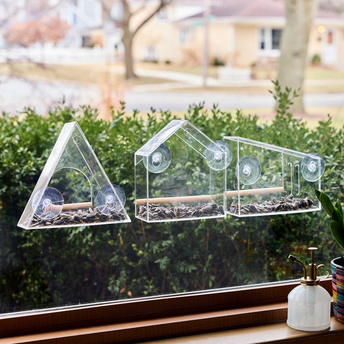 Birds on the Block | Modern Sprout