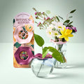 Botanical Keepers | Modern Sprout