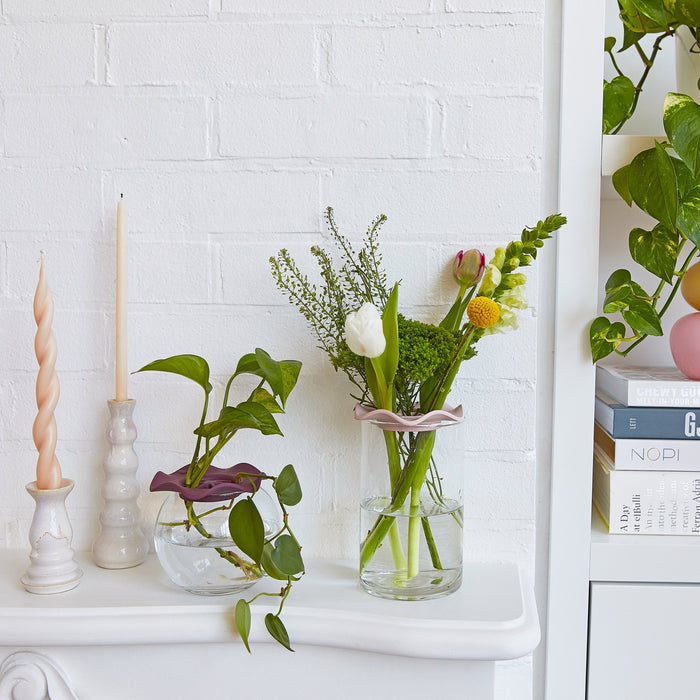 Botanical Keepers | Modern Sprout