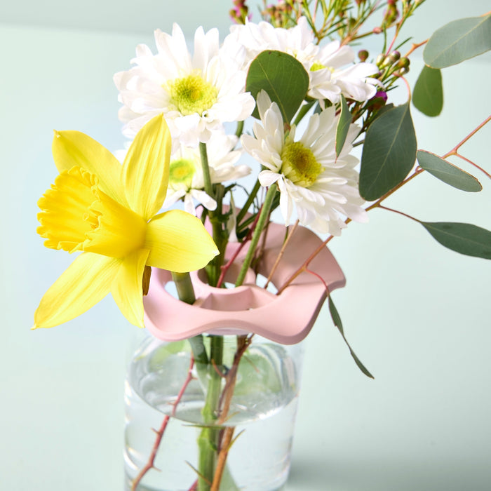 Botanical Keepers | Modern Sprout