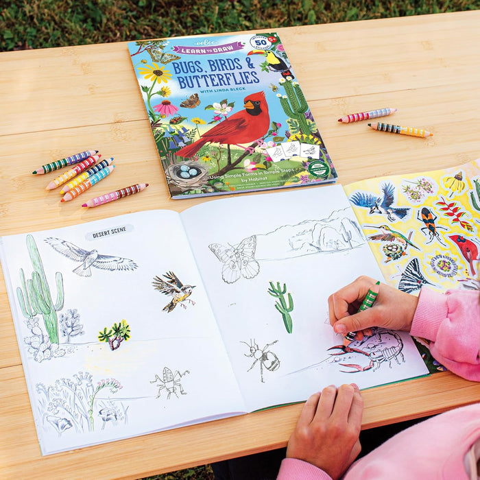 Bugs Birds Butterflies Coloring Learn to Draw