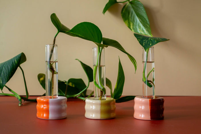 Ceramic Propagation Set | Castoe Pots
