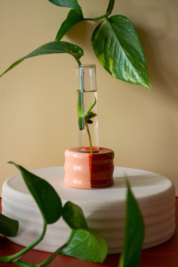 Ceramic Propagation Set | Castoe Pots