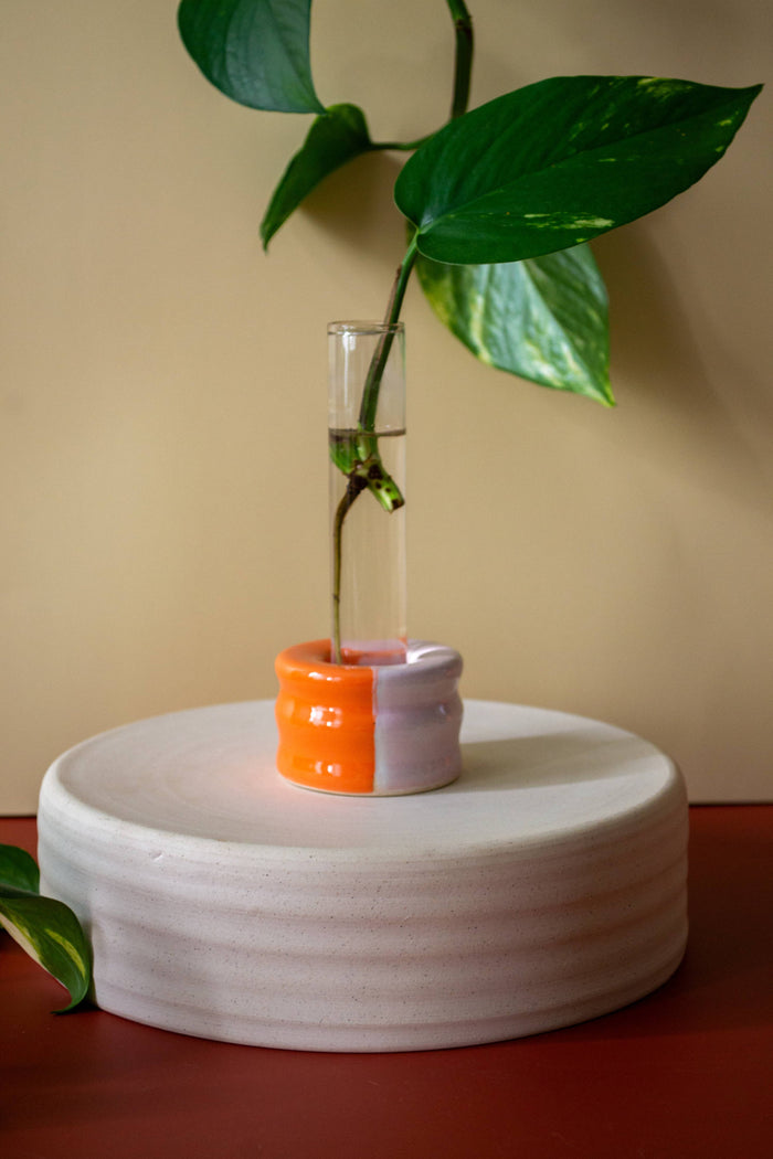 Ceramic Propagation Set | Castoe Pots