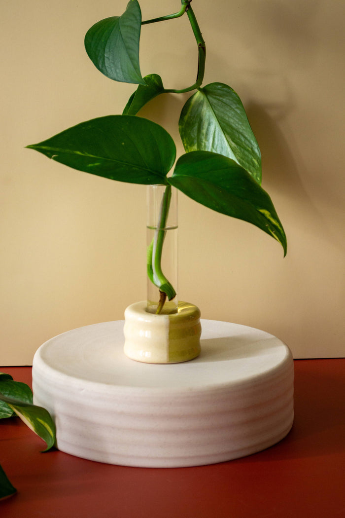 Ceramic Propagation Set | Castoe Pots