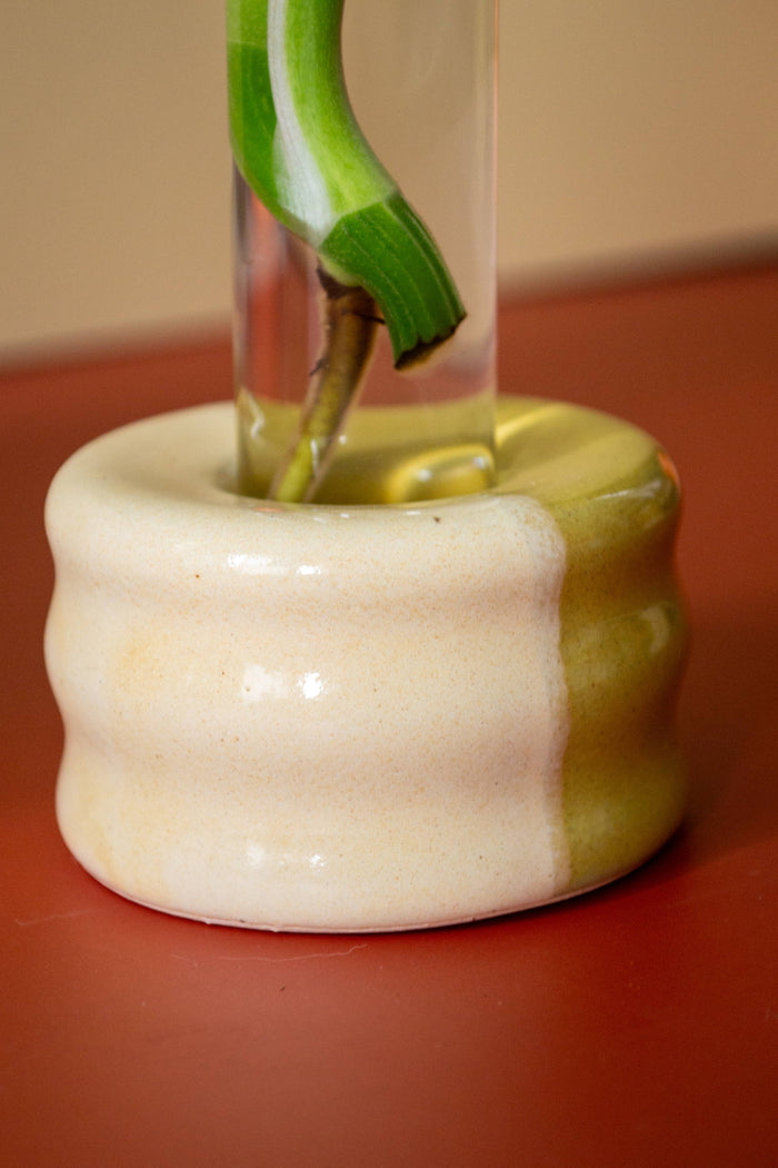 Ceramic Propagation Set | Castoe Pots
