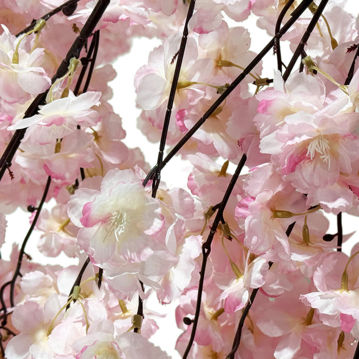 Cherry Blossom Ceiling Cascade Pink florals close up
