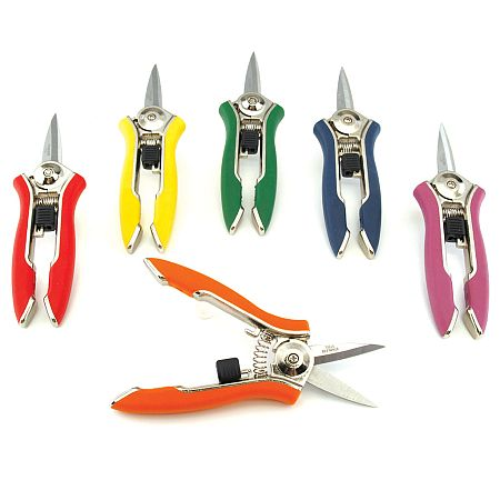 Set of six small pruning shears with colorful handles on a white background