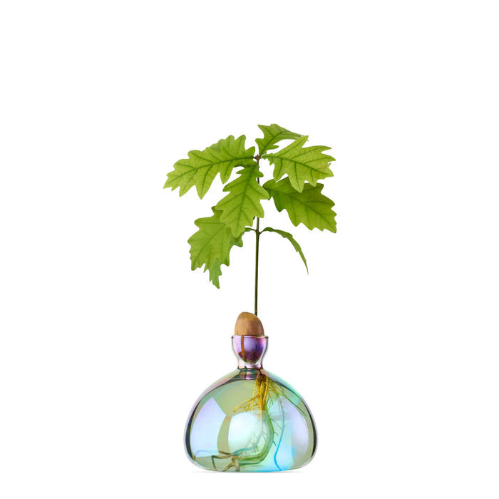 Cosmic Lyra Acorn Vase | Ilex Studio