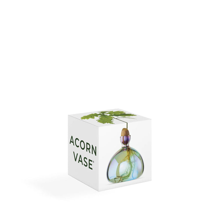 Cosmic Lyra Acorn Vase | Ilex Studio