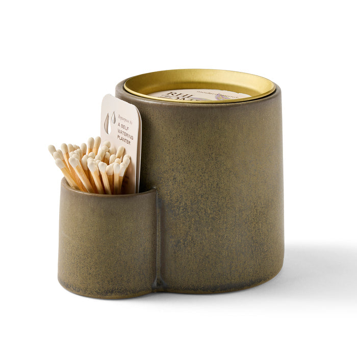 Rhizome / Candle/Planter Kit