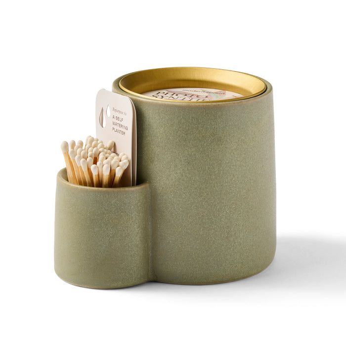 Photosynthesis / Candle/Planter Kit
