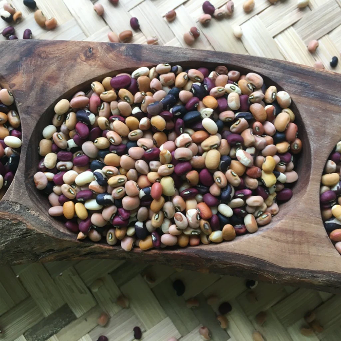 Fagiolina del Trasimeno (Multi-Colored) | Truelove Seeds