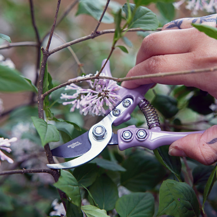 Garden Pruners | Modern Sprout