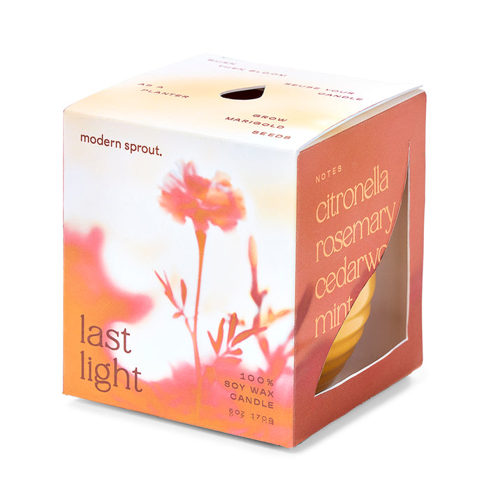 Last Light Citronella 1pk