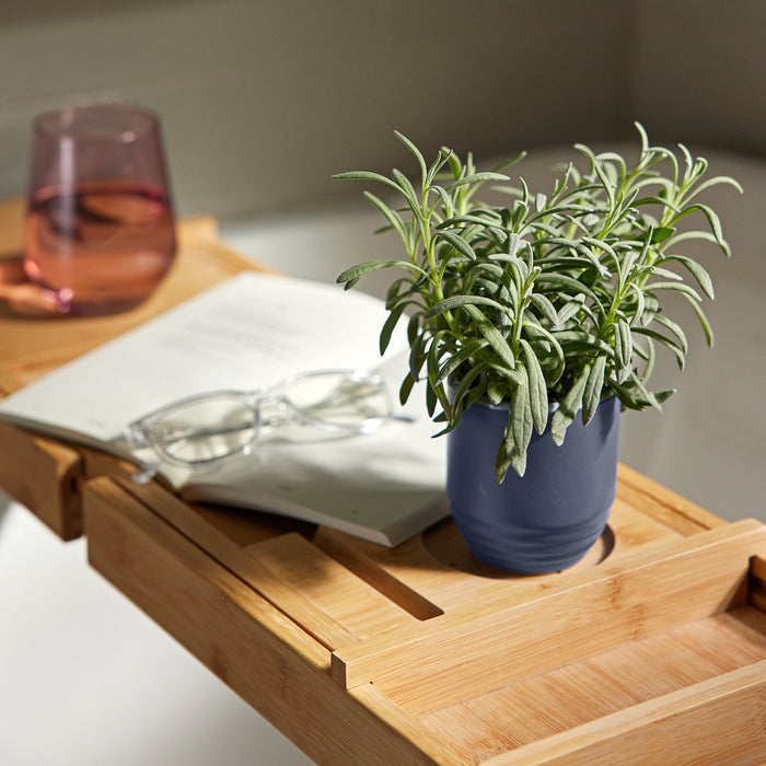 Garden Vibes Candle/Planter features a blue planter with a green plant, resting on a bamboo tray with a book and glasses.