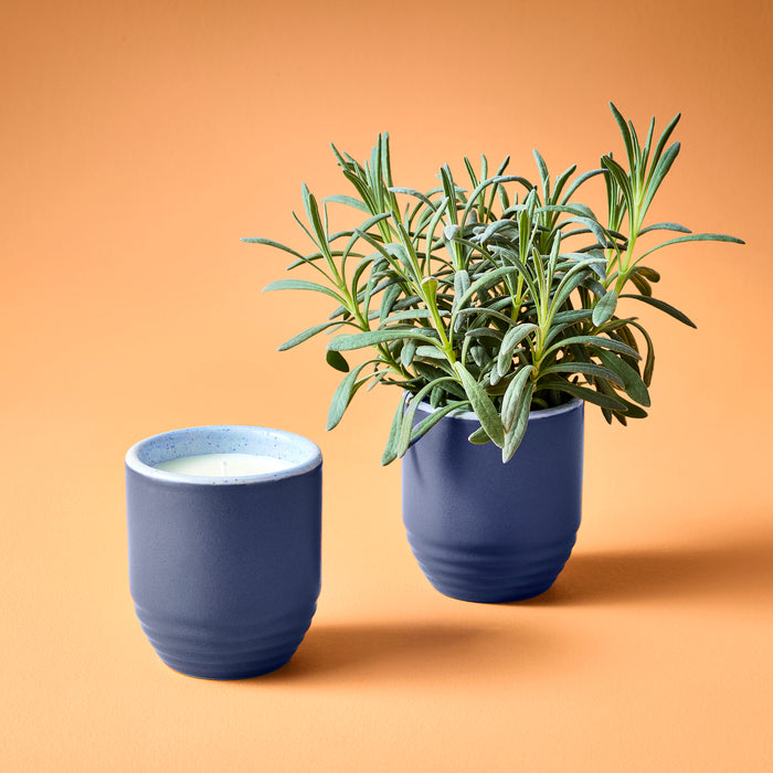 Garden Vibes Candle and Planter features a blue ceramic container with a candle and a matching planter with greenery.