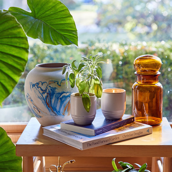 A stylish 2-in-1 candle and planter set featuring a small plant, stacked books, and decorative glassware on a wooden table.