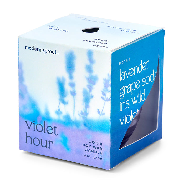 Violet Hour 1pk