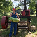 Georgia Rattlesnake Watermelon |Truelove Seeds