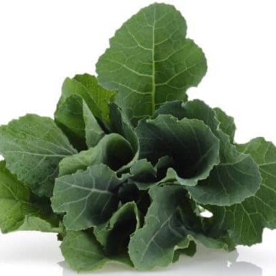 Green leafy vegetable on a white background
