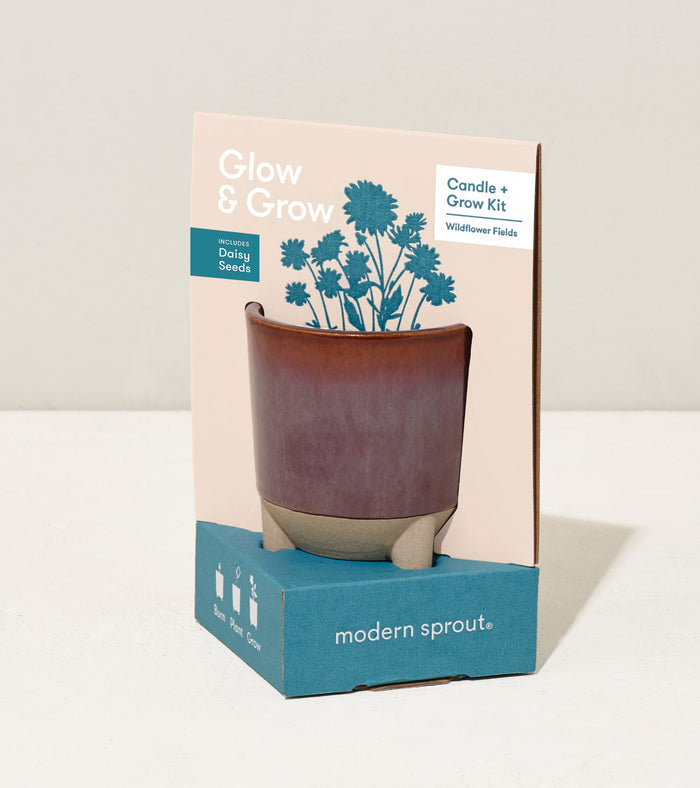 Glow and Grow - Wildflower Fields
