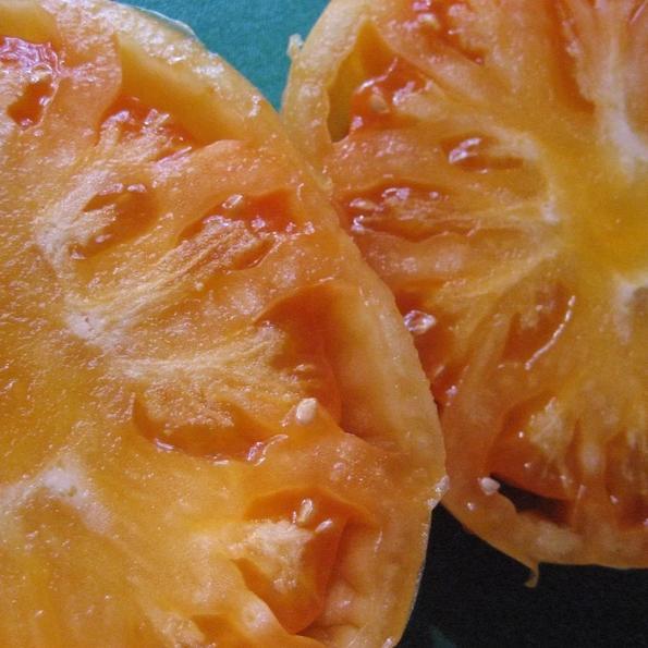 Goldie Tomato | Hudson Valley Seed Co