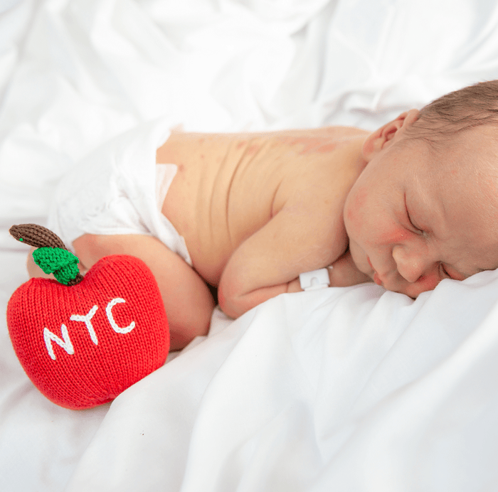 Handmade NYC Big Apple Rattle