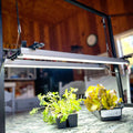Hanging Grow Light Kit