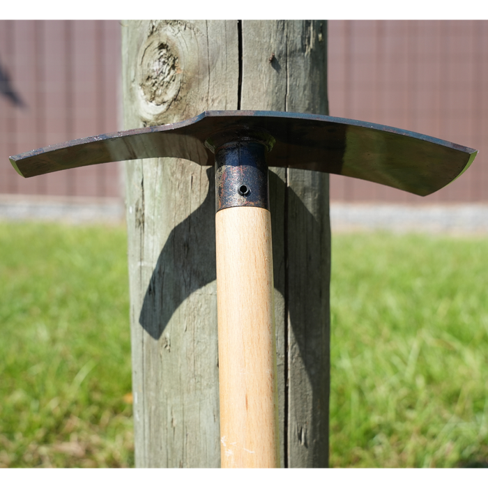 Closeup of Hoe Dag