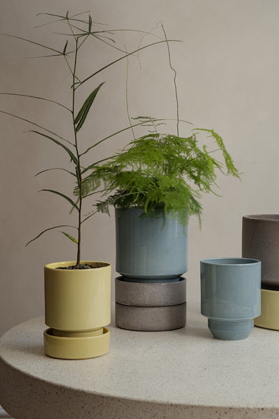 Hoff | Bergs Potter