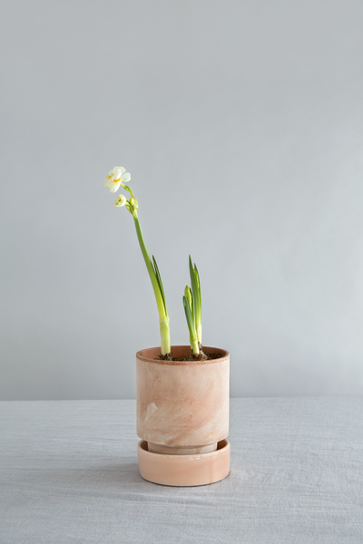 8cm / Rosa (raw)