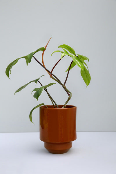 14cm / Rusty Red