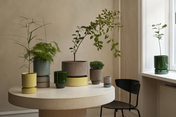 Hoff | Bergs Potter