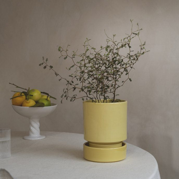 Hoff | Bergs Potter